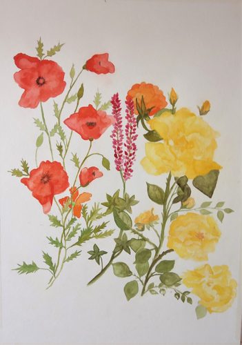 Watercolour, poppies and roses.